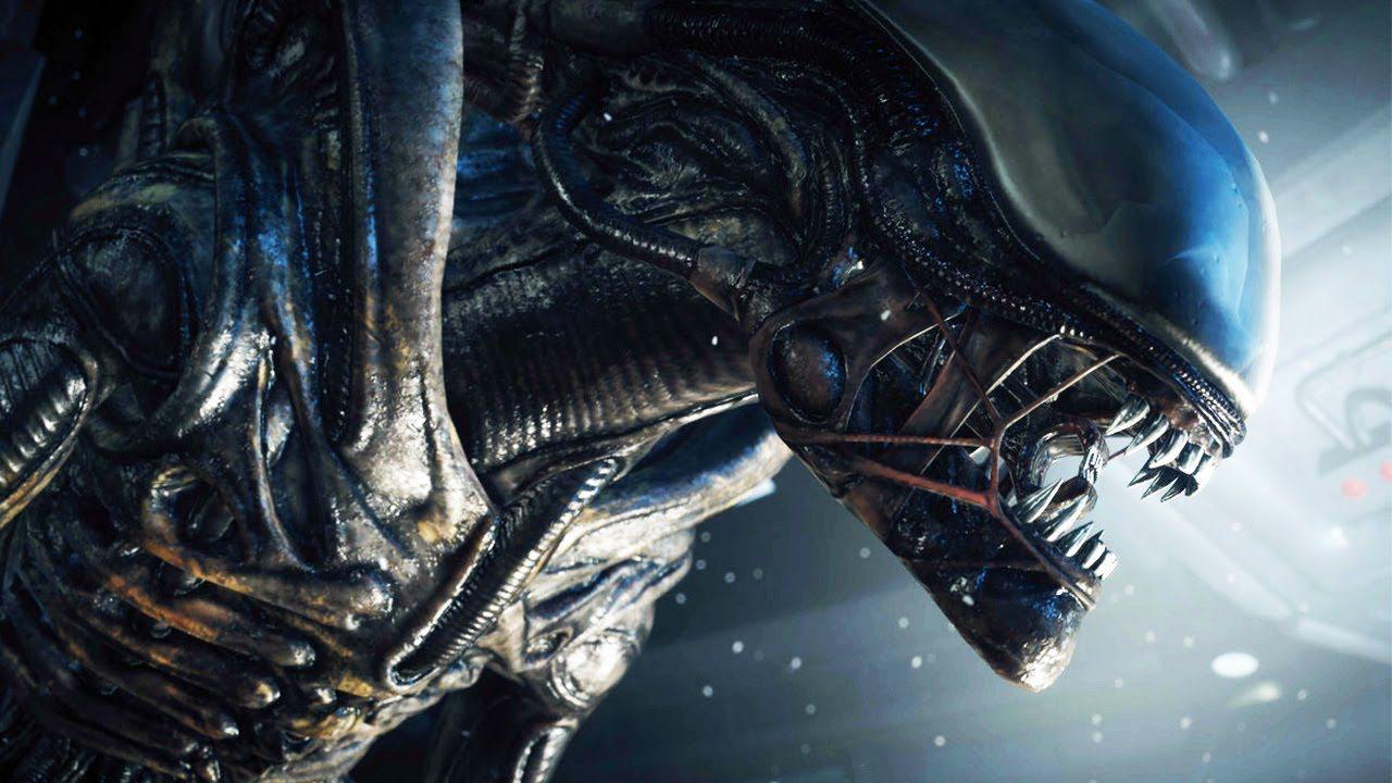 Официально: Alien: Isolation 2 уже в разработке  Сиквелом снова занимается Creative Assembly, так что ждем всё ту же атмосферу напряжённого ужаса.   Релиз пока без даты – проект только на ранних стадиях разработки.  Инструкция по покупке   Бот активации