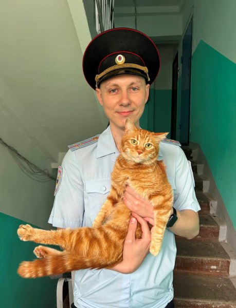 Полицейский из Комсомольска помог горожанке вернуть кота В ходе исполнения служебных обязанностей полицейский Павел Красноперов заметил, как с третьего этажа жилого дома выпал рыжий кот. Животное ударилось об асфальт, однако отделалось лишь испугом. Взяв кота на руки, Павел пошел возвращать его хозяйке. Девушка на тот момент в квартире отсутствовала, тогда полицейский нашел ее номер, позвонил, а после дождался, когда та вернется домой, и лично передал питомца ей в руки. Хозяйка кота по кличке Тиша искренне поблагодарила полицейского за то, что не остался в стороне и помог ее питомцу. Будь в курсе событий.