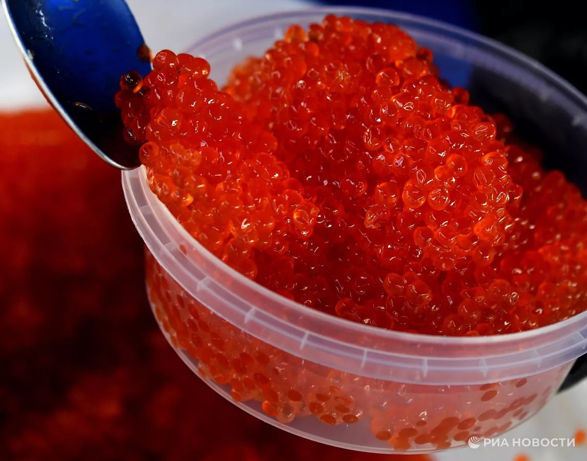 Дефицита красной икры перед Новым годом в России нет рассказал РИА Новости президент ВАРПЭ Герман Зверев Кроме того в оптовом сегменте на популярные виды красной икры горбуши кеты и нерки цены продолжают снижаться и составляют около 5 5 7 тыс рублей за 1 кг Подписаться на РИА Новости экономика Все наши каналы