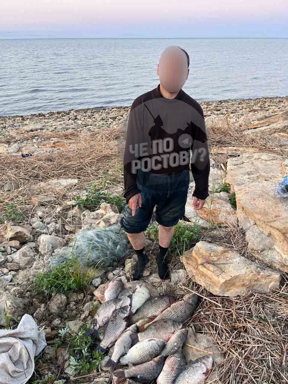 В Таганроге поймали браконьеров, ловивших рыбу в нерест — могут сесть на 2 года. Во время рейда в рамках операции «Путина-2025» на побережье Таганрогского залива полицейские задержали двух местных жителей — 45 и 44 лет. Мужчин застали за незаконным выловом рыбы в запретное время — как раз в зоне нереста. По данным транспортной полиции, они использовали лесковую сеть и успели наловить 31 рыбу: среди них были сазан, серебряный карась, лещ и донская сельдь. Ущерб оценили примерно в 30 тысяч рублей. В отношении браконьеров возбудили уголовные дела по статье 256 УК РФ — за незаконную добычу водных биоресурсов. По этой статье можно получить до двух лет лишения свободы. Пока что подозреваемые находятся под обязательством о явке. Скидывайте пост знакомым, особенно тем, кто любит посидеть с удочкой — пусть не забывают про нерест. Подписаться Связь с редакцией