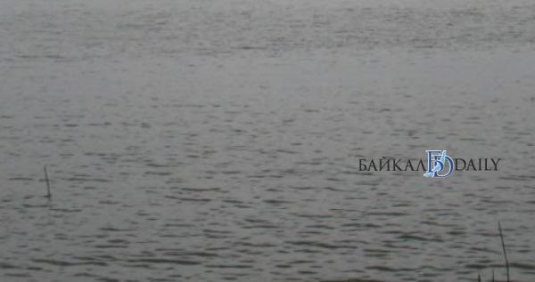 В Селенгинском районе Бурятии нашли тело 19-летнего парня. Он утонул в Селенге 2 августа. Тело нашли в четырёх километрах от места, где утонул молодой человек