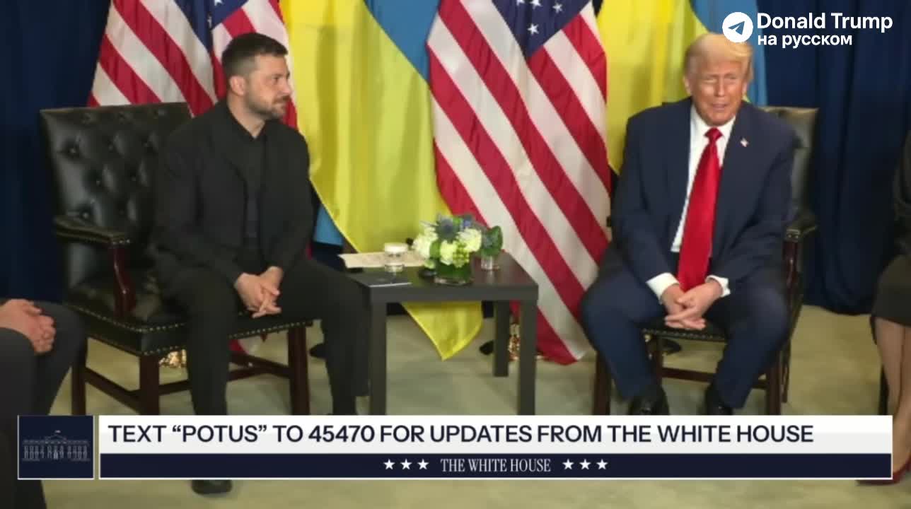 Трамп и Зеленский обсудили сотрудничество на Генассамблее ООН