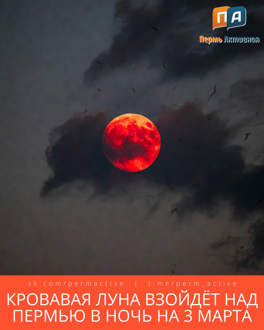 Кровавая Луна взойдёт над Пермью в ночь на 3 марта Во время полного лунного затмения атмосфера Земли придаёт Луне красноватый оттенок из за чего её называют кровавой Затмение продлится около 58 минут Это будет единственное полное лунное затмение в 2026 году а в следующий раз подобное явление можно будет увидеть только в 2028 году С научной точки зрения это безопасное и красивое природное явление а в астрологии и традициях считается что в такие дни лучше не начинать новые проекты избегать конфликтов внимательнее относиться к здоровью и уделять время саморазмышлению Подпишитесь на нас в ТГ MAX ВК Прислать материала