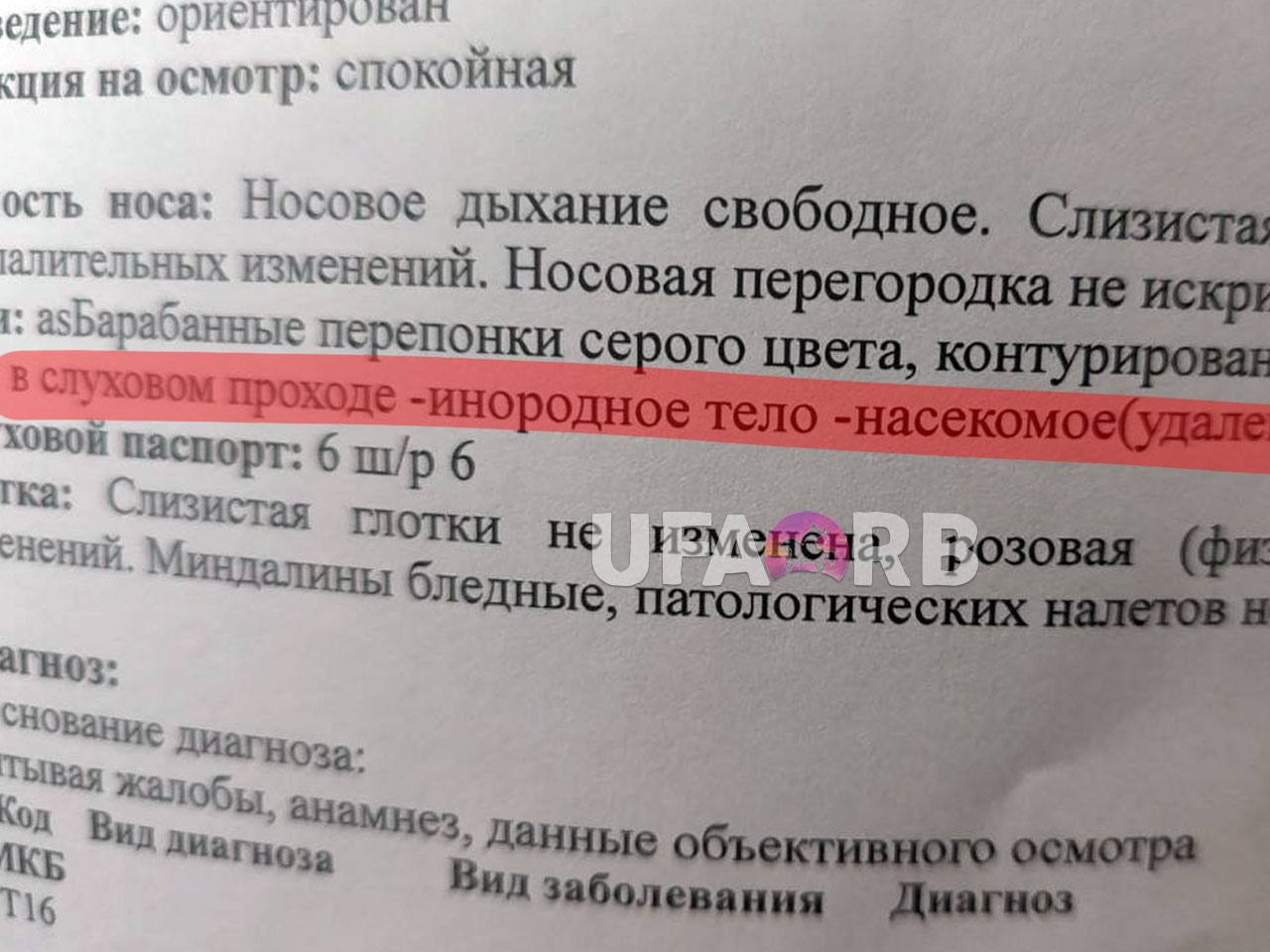Жительницу Башкирии разбудил... паук в ухе.   Во время прогулки в Чишминском районе местная жительница ощутила странное шевеление в ухе. Поначалу она решила, что туда залетела мошка, и попыталась самостоятельно извлечь насекомое. После некоторых манипуляций шевеления прекратились, и женщина успокоилась.    Однако через неделю непрошенный гость  хуже татарина, как говорится  начал обустраивать себе жилище, беспокоя хозяйку по ночам.    Врач-лор, к которому обратилась пострадавшая, обнаружил в ушном проходе живого паука, успевшего сплести паутину.  + 1 фобия    Подписаться   Прислать новость