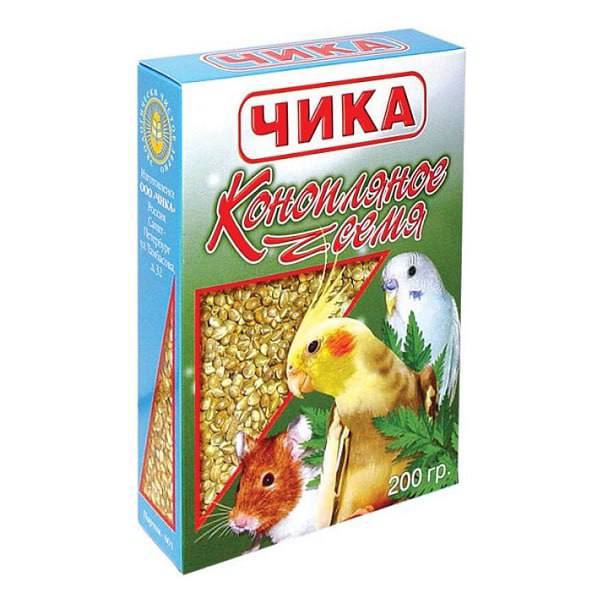 Петербуржец остался без прав из за корма для попугаев Мужчина попал в ДТП 16 часов ждал полицию в машине а при проверке у него нашли следы каннабиноидов Водитель уверял что ел птичий корм с конопляным семенем но суд эту версию не принял и лишил его водительского удостоверения