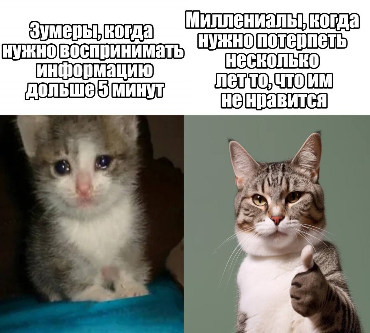 Заводы теряют молодых сотрудников каждый второй новичок уходит в первый год Российские компании тратят десятки тысяч рублей на каждого новичка но три завода из четырех не могут удержать молодых специалистов даже на год Основные причины побега ожидания не совпали с реальностью объемы работы слишком большие и не вписался в коллектив Может вместо адаптации стоит сразу выдавать инструкцию Как выжить на заводе и не сбежать в первый месяц   Подпишитесь на Абзац TG VK Дзен MAX Rutube