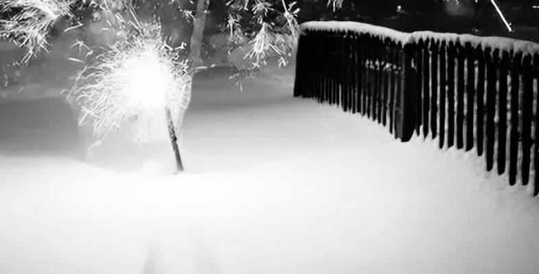 Есть первый пострадавший от новогодней петарды 13 летнего мальчика доставила в травматологию скорая с диагнозом Взрывная травма правой кисти Ребенок вовремя отбросил игрушку в сторону Если б не его природная реакция мог лишиться руки Это произошло в Лабинске В ЦРБ призвали родителей контролировать детей и подростков не допускать покупок ими чрезвычайно опасных товаров в красивой упаковке Об этом происшествии проинформированы власти и правоохранительные органы