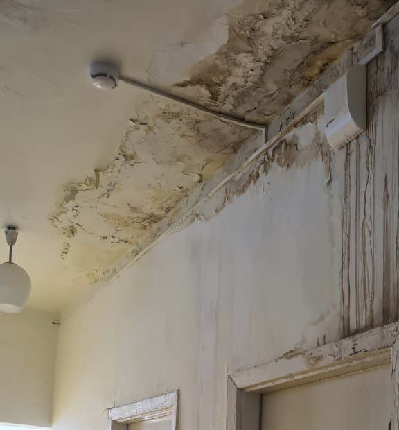 Прокуратура Ванинского района проводит проверку по факту протекания крыши в детском саду поселка Токи После прошедших осадков крыша детского сада Маячок в поселке Токи начала течь На место прибыл ВРИП главы Ванинского района Алексей Маслов который пообещал в ближайшее время принять меры по ее устранению Ситуацией заинтересовалась районная прокуратура которая инициировала по данному факту проверку В ходе проверки специалисты обнаружили множественные дефекты штукатурного слоя Между тем в учреждении продолжают обучаться 15 детей Ведомство внесло в адрес муниципалитета представление с требованием отремонтировать помещение Решается вопрос о возбуждении дела об административном правонарушении   Будь в курсе событий везде ОК VK MAX