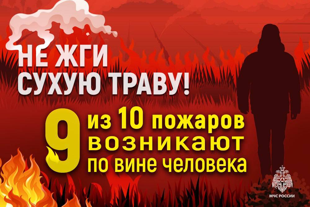 ПОЖАРА ПРОИЗОШЛО В ЭКОСИСТЕМЕ РЕСПУБЛИКИ ЗА МИНУВШИЕ СУТКИ Общая площадь уничтоженного сухостоя — около гектаров. Сегодня в ДНР порывы ветра до 18 метров в секунду. ЗНАЙ! Виновники пожаров будут нести административную ответственность. Штрафы для юридических лиц составят от 300 тыс. до 800 тыс. рублей, для физических лиц — от 5 тыс. до 50 тыс. рублей. МЧС России предостерегает: не сжигай сухую траву; не бросай горящие спички и окурки; не разводи костры в лесу и вблизи природных массивов. Безопасность начинается с тебя! МЧС ДНР МЧС России
