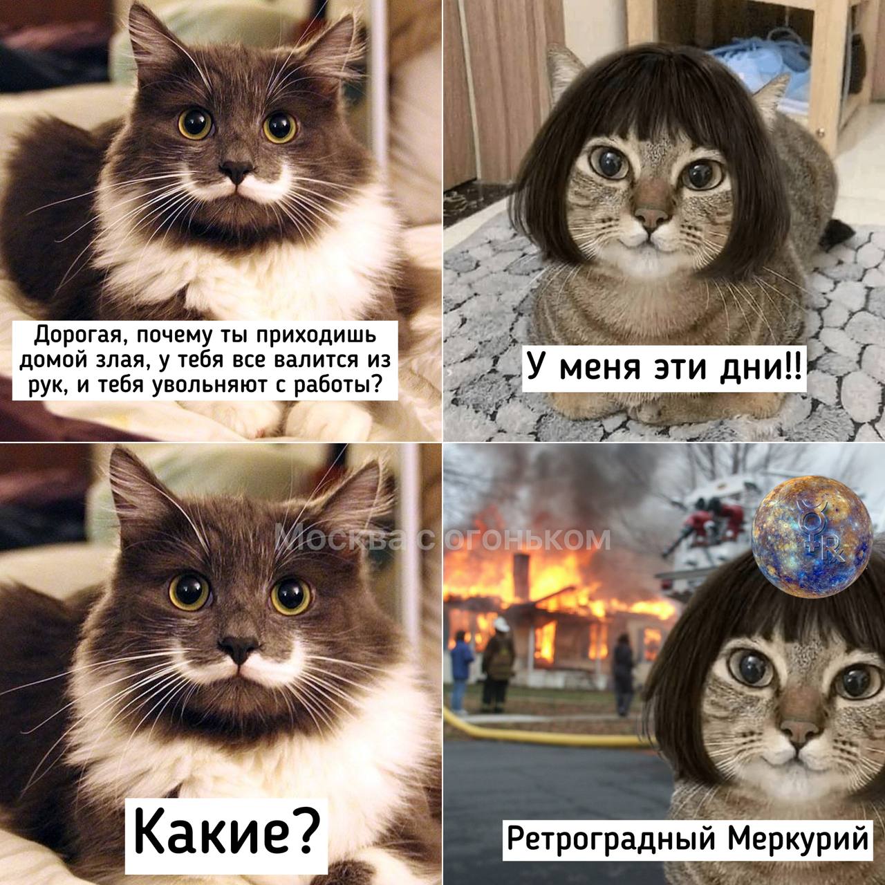 Ретроградный Меркурий начнется 9 ноября и продлится до 29 ноября Эксперты рекомендуют в этот период избегать любых кредитов и крупных покупок принимая все решения обдуманно Подписаться Прислать новость