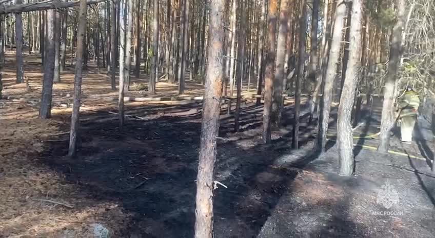 Ликвидация лесных пожаров в Костромской области продолжается