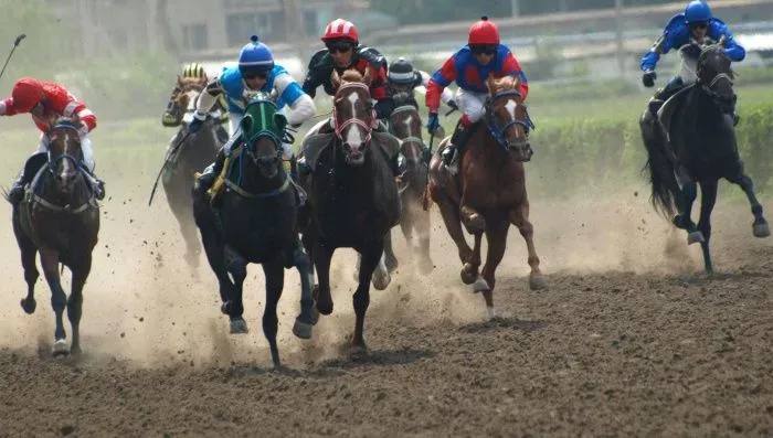 Минимущества Ростовской области подало иск к владельцу ростовского ипподрома Минимущества Ростовской области намерено в суде оспорить изменение назначения земель принадлежащих ООО Ипподром ростовский Разрешенный вид использования спорных участков был изменен для размещения жилых объектов Однако это решение вступает в противоречие с прежним статусом территории и должно быть признано незаконным убежден истец Читать сюжетдня Подписаться на Эксперт Юг Медиапомощь экспертам