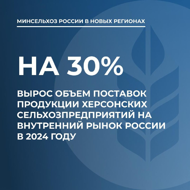 Объем поставок продукции херсонских сельхозпредприятий на внутренний рынок России за 2024 год вырос на 30%  Поставки зерновых и масличных культур из Херсонской области в другие регионы России в 2024 году увеличились на 30% по сравнению с 2023-м. Об этом сообщили в Министерстве сельского хозяйства РФ.  Губернатор Херсонской области Владимир Сальдо на встрече с министром сельского хозяйства России Оксаной Лут отметил рост объемов поставок на внутренний рынок. По данным ведомства, зерновая и масличная продукция направляется на элеваторы Крыма и Ростовской области, молочная продукция — на предприятия Крыма и Запорожской области. Херсонские овощи, фрукты и ягоды реализуются в Крыму, Санкт-Петербурге, центральных регионах России, включая Москву.  Сельхозпроизводители области продолжают расширять рынки сбыта, сотрудничая напрямую с покупателями или поставляя продукцию на оптовый рынок в пгт Великие Копани.    «РЕГИОН 84»   ПОДПИСАТЬСЯ