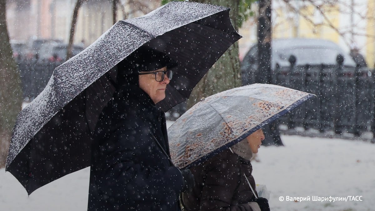 В МЧС предупредили о сильном снеге и гололедице на дорогах в Москве. Об этом ТАСС сообщили в пресс-службе столичного главка министерства.  "По прогнозам синоптиков Росгидромета, в период с 16:00 7 декабря до 10:00 8 декабря местами в Москве ожидается снег, местами сильный, гололедица на дорогах", — сказали в пресс-службе.     / Москва