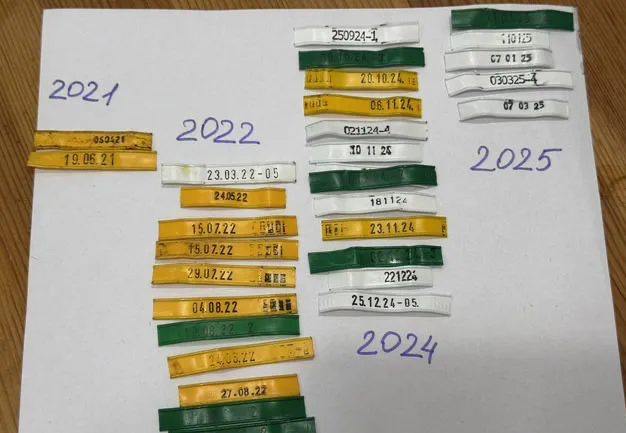 Бирки от хлеба начали пользоваться спросом среди россиян. Это связывают с популярностью скрапбукинга и фотоальбомов ручной работы — бирки покупают, чтобы использовать для оформления важных дат: рождения малыша, первого его слова или шага. Россия Сегодня