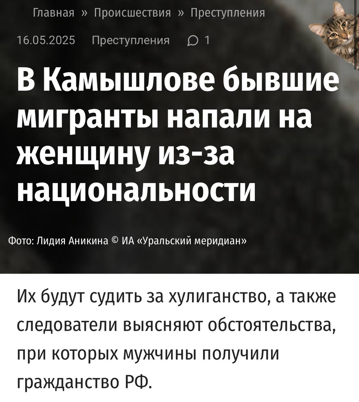 В Свердловской области поймали двоих неонацистов из Азербайджана, которые нападение на русскую женщину, по мотивам национальной ненависти В Камышлове абу-бандиты поставили забор на чужой территории, а когда хозяйка пришла разбираться, те набросились на неё с кулаками, обзывая «русской шлюхой» и «свиньёй». По версии следствия, обвиняемые 1981 и 2004 годов рождения из хулиганских побуждений, выражая явное неуважение к обществу, пренебрежительно, демонстративно противопоставляя себя окружающим, по мотивам национальной ненависти напали на малознакомую им женщину, применили к ней насилие, угрожали убийством и высказали оскорбления, выражающие враждебность и ненависть по отношению к ней по национальному признаку. Сообщается, что напали на женщину отец и сын из Азербайджана, которые успели обзавестись паспортами РФ. Задержание прошло при силовой поддержке спецподразделения УФСБ России по Свердловской области. Подписаться