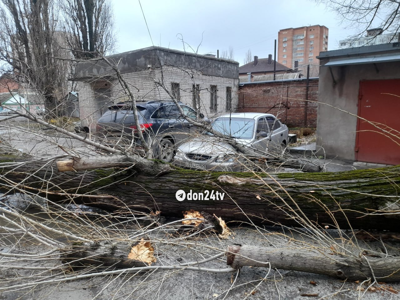 Сразу на две машины рухнуло дерево в Ростове  Происшествие произошло на улице Металлургической. Об этом корреспонденту «ДОН 24» сообщили в Управлении ГО и ЧС.  Огромный тополь около 60 см в диаметре рухнул на две припаркованные иномарки.  На одном автомобиле дерево повредило капот и стекло. Чтобы освободить легковушку, владельцу пришлось звать на подмогу спасателей. К счастью, никто из людей не пострадал.  «ДОН 24»