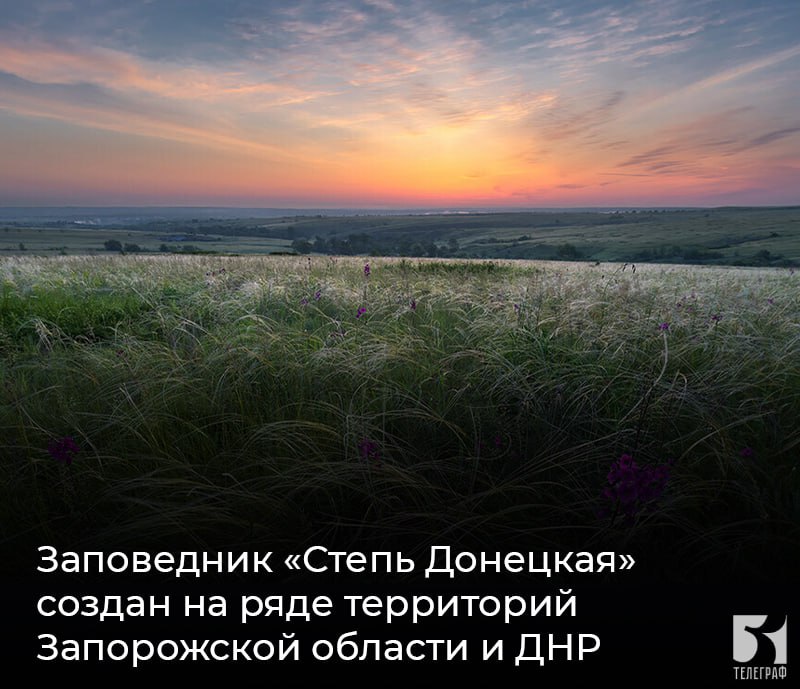 Заповедник «Степь Донецкая» создан на ряде территорий Запорожской области и ДНР. На ряде территорий ДНР и Запорожской области создан государственный природный заповедник «Степь Донецкая». Постановление об этом подписал Председатель Правительства Михаил Мишустин. Новая особо охраняемая природная территория включает в себя 4 кластера: ⏺«Кальмиусский», ⏺«Каменные могилы», ⏺«Меловая флора», ⏺«Хомутовская степь». Территории ранее были частями степного заповедника, созданного в 1961 году. Их общая площадь составляет более 3 тыс. га. Многие виды растительности и животного мира этих территорий занесены в Красную книгу России, в том числе тюльпан Шренка, беркут, скопа, орлан-белохвост, журавль-красавка и другие. Решение обеспечит режим особой охраны значительного количества редких и исчезающих видов растений, птиц и животных, будет способствовать увеличению их численности и естественной миграции. ЗАПОРОЖСКИЙ ТЕЛЕГРАФ