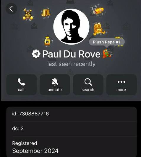 В Telegram появится серая галочка самолётик.  Это новая отметка для проверенных пользователей: «Аккаунт подтвержден представителями Telegram».    Её будут вручную выдавать тем, чью личность или принадлежность к проекту подтвердили напрямую через команду Telegram.