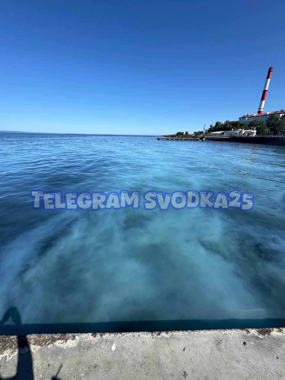 Непонятная субстанция в море На морской поверхности у Спортивной набережной во Владивостоке появилась непонятная полупрозрачная белесая субстанция Источник svodka25 dvved