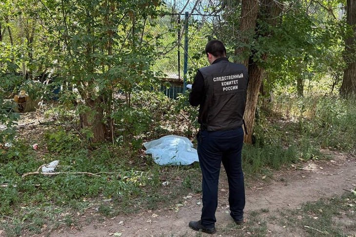 Обрился налысо, чтобы скрыться  Волгоградец зверски зарезал гулявшую с собаками женщину  На текущий момент установлено, что 7 августа задержанный проезжал на своем велосипеде мимо потерпевшей, выгуливающей без поводка домашних животных. Одна из собак подбежала близко к подозреваемому, что ему не понравилось. Между мужчиной и женщиной произошла ссора. Волгоградец достал нож и изрезал несчастную.      подробнее