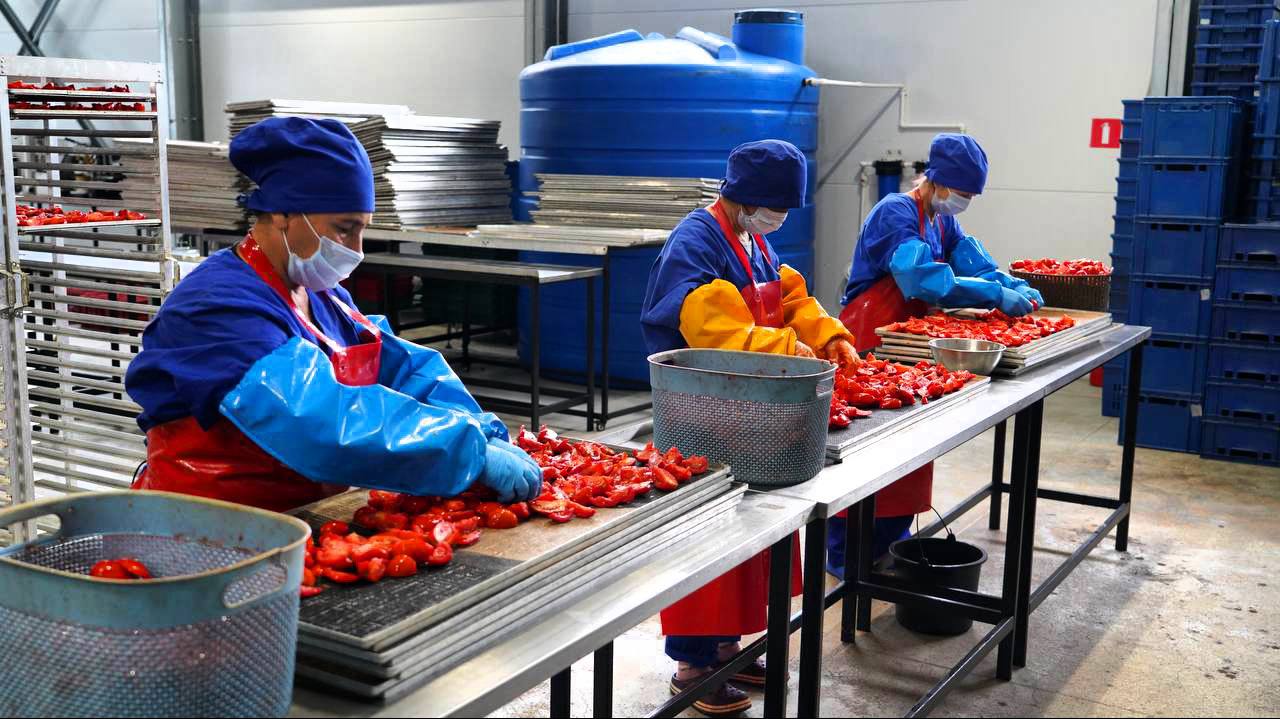 В Дагестане ожидается рост производства плодоовощных консервов на 25 Производство плодоовощной консервной продукции в 2025 году вырастет более чем на 25 по сравнению с 2024 годом По данным Минсельхозпрода Дагестана в январе октябре текущего года предприятия региона переработали 1 3 тыс тонн плодов и овощей произведя 13 3 млн условных банок соков нектаров пюре и другой консервной продукции По итогам 2024 года объем производства плодоовощных консервов составил 17 1 млн условных банок а в 2025 году ожидается рост до 21 4 млн Отмечается что увеличение объемов связано с реализацией инвестиционных проектов по вводу новых и модернизации существующих мощностей в том числе в таких предприятиях как ООО Ширван СПоК Нуси и ООО ПОШ где с помощью господдержки обновлены цеха переработки