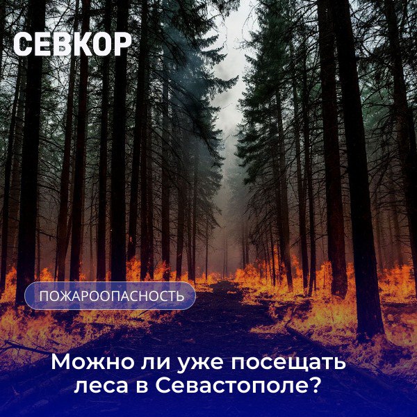 Особый противопожарный режим продлен в Севастополе Ограничения на пребывание и въезд в леса продлены до 1 октября Разрешено посещение 1 Урочище Золотой пляж береговая полоса Черного моря 2 Урочище Ближний пляж береговая полоса Черного моря 3 Место отдыха Алсу 4 Зона отдыха Сухая речка 5 Урочище Аязьма Инжир 6 Урочище Торопова дача 7 Турецкая поляна 8 Парк 35 летия Победы Толстяк 9 Пляж Дельфин Также остается доступным к посещению участок Большой севастопольской тропы от Балаклавы до урочища Аязьма Разводить огонь можно в специально оборудованных мангальных зонах урочище Торопова Дача Турецкая поляна урочище Аязьма Читайте Севкор