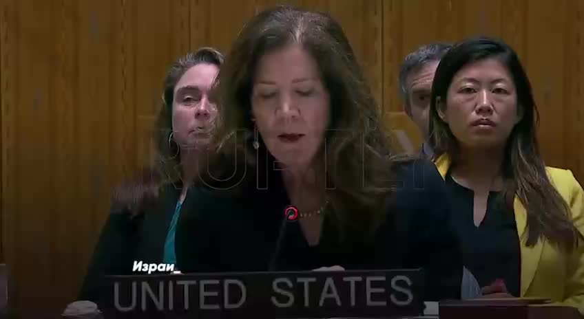Спецпредставитель США в ООН ошиблась, назвав Израиль источником хаоса на Ближнем Востоке