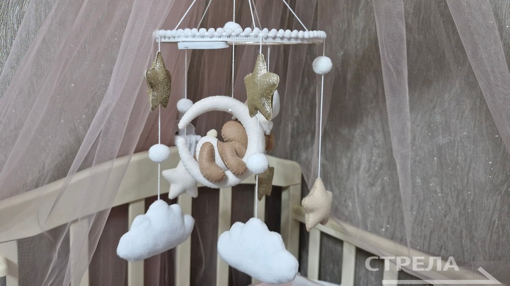 В Брянской области 22 женщин наградят за воспитание пяти и более детей Награды будут вручены в рамках празднования Дня матери  Ранее президент России Владимир Путин подписал указ о присвоении жительнице Брянщины Елене Киселевой звания Мать героиня Глава государства отметил большие заслуги женщины в воспитании детей и укреплении института семьи  Звание Мать героиня установили еще в Советском Союзе а возродили в 2022 году Его присваивают женщинам которые родили и воспитали 10 и более детей Фото РИА Стрела