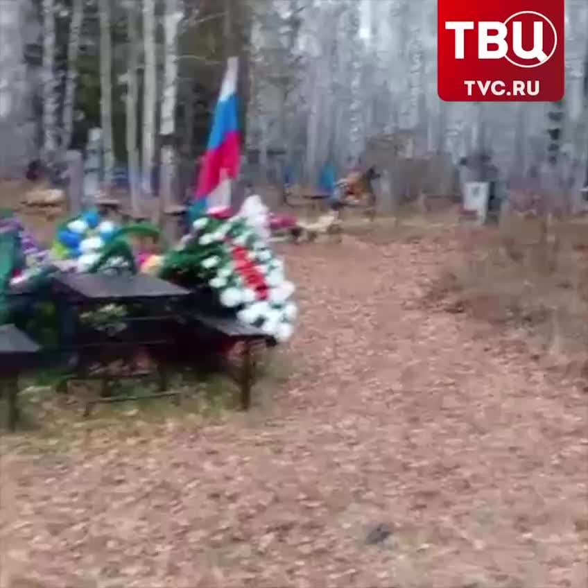 Вандалы повредили более 80 надгробий на кладбище в Заливино