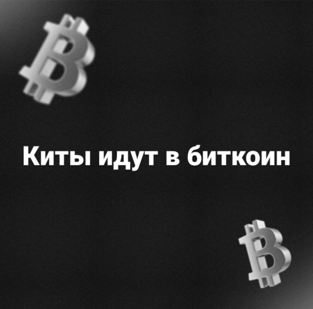 Киты закупаются биткоином Хочу обратить ваше внимание — сейчас крупные компании активно приобретают биткоин. Для понимания, вот цифры: Strategy держит 607,770 BTC это почти 3% всего битка! со средней ценой покупки $71k Semler Scientific нарастила резервы до 5,021 BTC +175 BTC за последний месяц H100 Group докупила 117 BTC — теперь у них 628 BTC $73 млн в эквиваленте Smarter Web купила 225 BTC — их портфель уже 1,825 BTC с безумной доходностью 43,787% годовых. Matador Technologies взяла кредит $100 млн специально для покупки битка — хотят накопить 6,000 BTC к 2027. Поэтому корпорации скупают активно биткоин уже 1.3 млн BTC в институциональных руках . Реальные деньги идут в BTC — и это долгосрочная стратегия. Предложение сокращается — если так пойдет дальше, через пару лет битка на всех не хватит.
