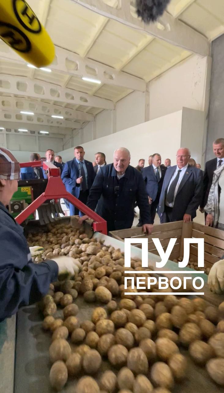 Лукашенко на саммите ШОС подарит мировым лидерам мешки с картошкой О том что президент Беларуси планирует привезти картофель на саммит ШОС который пройдёт в конце августа сообщает Пул первого По их данным Александр Григорьевич также готовит в качестве подарков и белорусское рапсовое масло Всего приготовлено десять корзин с гостинцами Сейчас Лукашенко проводит совещание по актуальным вопросам развития картофелеводства в Беларуси В ходе него он заверил что картофеля в Беларуси как всегда достаточно Потребляли и сейчас потребляем больше всех не только на постсоветском пространстве но и в мире 160 килограммов на брата а то и 180 было Недаром книга 500 блюд из картофеля была настольной у каждой белорусской хозяйки и передавалась по наследству