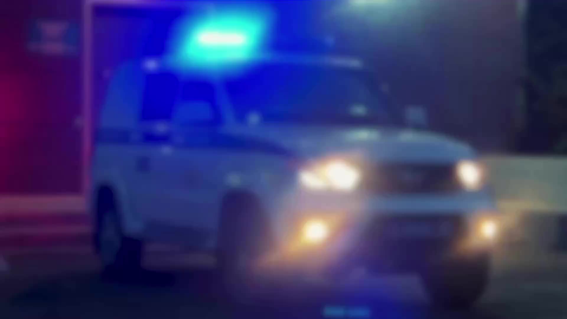 В Балашихе выявлено 95 нелегальных мигрантов в ходе полицейского рейда