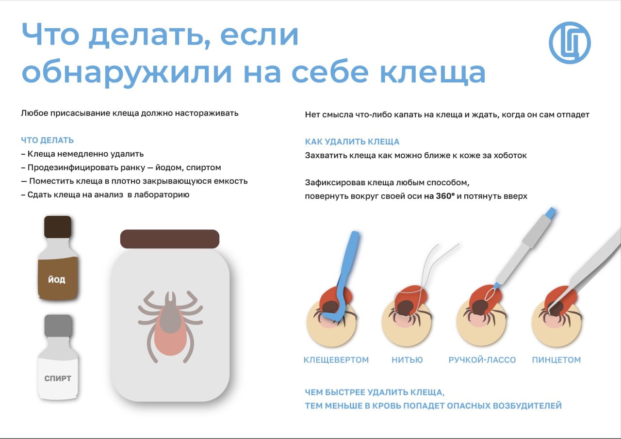 В Красноярском крае численность клещей превысила эпидемиологическую норму в 30 раз. На контрольных пунктах численность клещей уже достигает 172 особей на километр маршрута при эпидемически безопасном уровне до 0,5 кл/км. Для сравнения, неделей ранее регистрировалось от 16 особей на километр, — сообщили в Роспотребнадзоре. Регнум