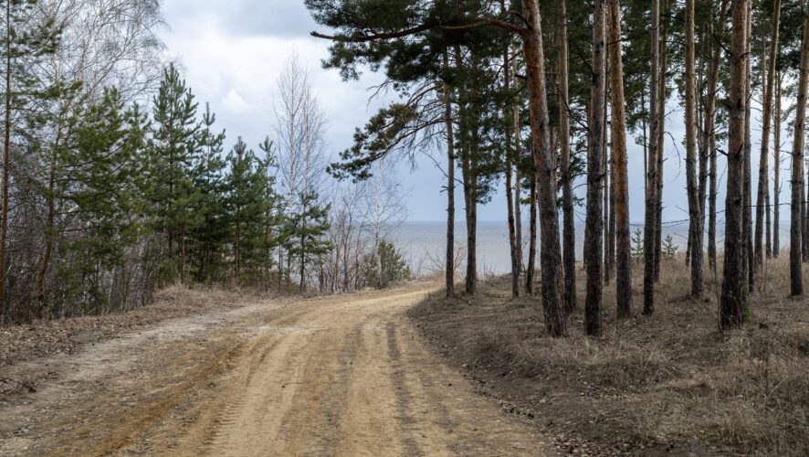 В лесу у кладбища под Казанью нашли повешенного пенсионера, который пропал без вести 2 недели назад  Тело 78-летнего мужчины, поиски которого велись со 2 ноября, было найдено в Верхнем Услоне в минувшие выходные. По данным источника KazanFirst, на теле дедушки были следы повешения.   Что это было — жестокое убийство или суицид — пока неизвестно, но у погибшего обнаружили предсмертную записку, содержание которой не раскрывается.    KazanFirst     в бот