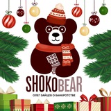 Shokobear (Олег Зайцев о банкротстве)