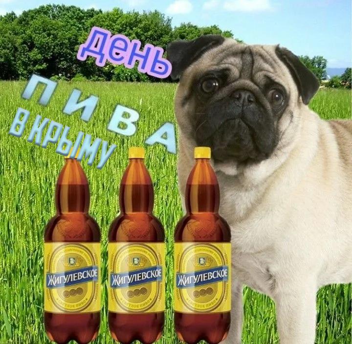 В Крыму и Сочи туристы за отпуск в среднем выпивают более 30 литров алкоголя на семью: 3,5 л водки, 10 л вина и до 20 л пива за две недели.   Женщины чаще выбирают белое и розовое вино, мужчины — пиво днём и крепкий алкоголь вечером. Лидером остаётся светлое разливное, которое продают на каждом углу. Больше всего пьют в Крыму, а вот в Сочи, Геленджике и Туапсе уже чуть скромнее.