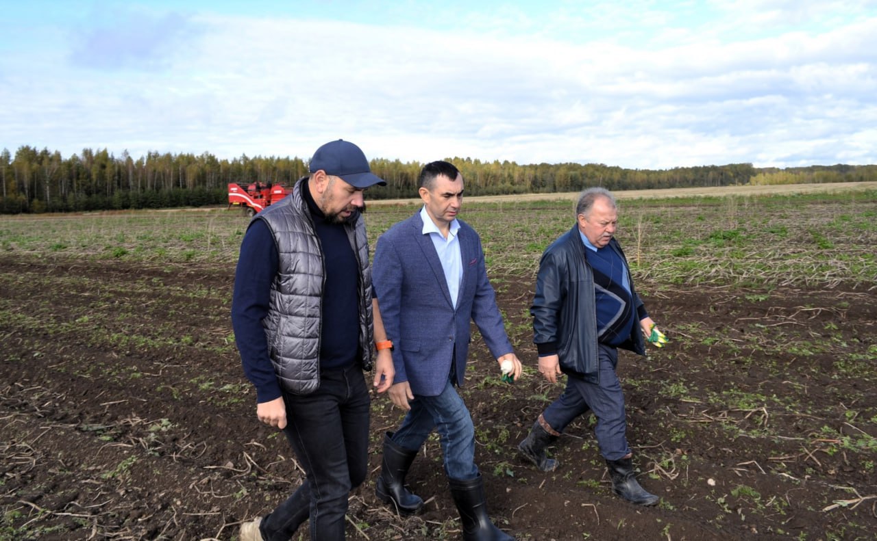 В Новгородской области строят первый в регионе селекционно-семеноводческий центр    В крестьянском фермерском хозяйстве Дениса Павлюка появится первый в Новгородской области селекционно-семеноводческий центр. Производство семян производится на изолированных участках, находящихся в закрытой санитарной зоне. Хозяйство строго соблюдает технологии выращивания, разработанные европейскими консультантами, использует новейшую технику при производстве картофеля. Для семенного материала имеется современное хранилище, с возможностью поддержания микроклиматических условий.  В 2024 году в планах произвести 571 тысячу штук миниклубней картофеля на безвирусной основе. Для размножения в основном используются сорта, предназначенные для производства. Это «ВР-808» и «Инноватор». Кроме того, специалисты работают и с сортами отечественной селекции — «Авророй» и «Садоном». Сейчас на территории КФХ Дениса Павлюка идет строительство первого селекционно-семеноводческого центра, который обеспечит регион семенным материалом картофеля отечественной селекции высокой репродукции.