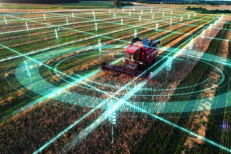 Искусственный интеллект меняет российское сельское хозяйство   По прогнозам Минэнерго, к концу 2027 года две трети агрокомпаний России будут использовать искусственный интеллект.   Благодаря поддержке государственных институтов, таких как Российский фонд развития информационных технологий и Фонд «Сколково»  входят в Группу ВЭБ.РФ  уже сейчас есть масса успешных примеров внедрения ИИ в отечественный АПК:     Агрохолдинги «Черкизово» и «ГАП Ресурс» используют робота-зоотехника от компании «Агробит», который мониторит микроклимат, насыпает корм и даже учит цыплят создавать гнёзда.    Компания «Русагро-Балаково» применяет ИИ на базе цифровой платформы «История поля» для определения лучших сортов и гибридов, защиты посевов от вредителей и расчёта траектории движения уборочной техники.    «Мираторг» запустил крупнейший в стране кожевенный завод, а «Русагро» перевела управление элеватора и маслоэкстракционного комбината на российскую цифровую платформу класса MES.   Подробнее о проектах и о том, что такое русское нейрополе и киберкурятник, рассказываем в нашем материале.