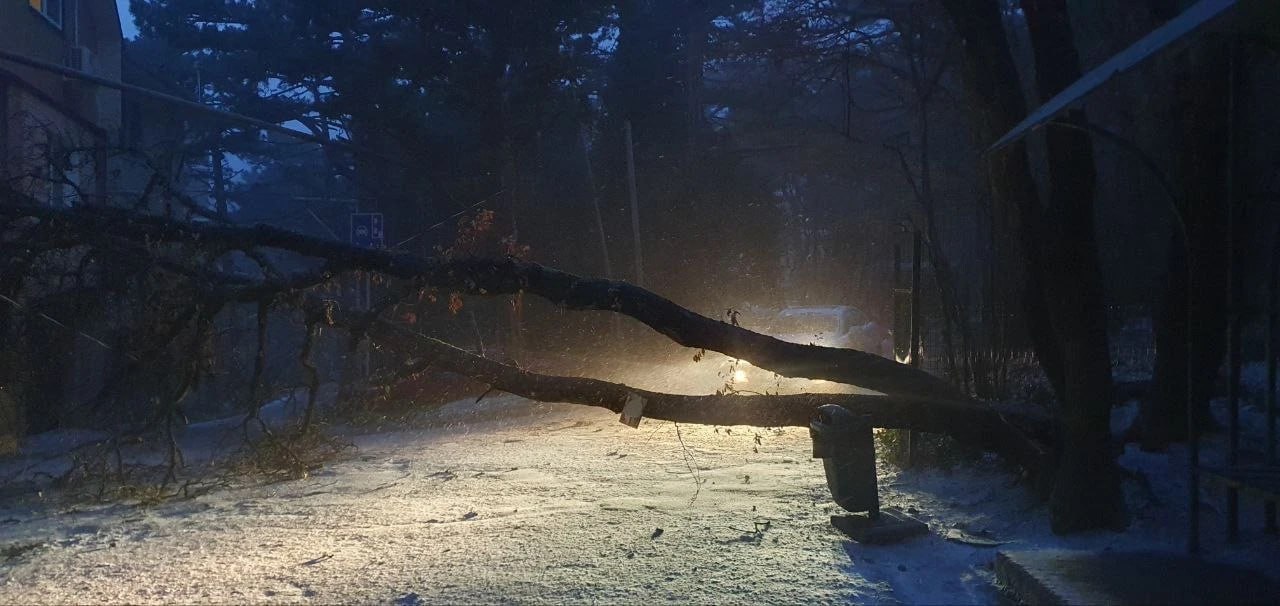 Оперативная обстановка в Ялте Со вчерашнего вечера в Ялте бушует сильный ветер фиксировались порывы до 19 м с За это время в ЕДДС Ялты поступило более сотни обращений от жителей обеспокоенных стихией Из за ветра произошли три аварийных отключения по линии электроснабжения Два из них уже устранены В настоящее время специалисты работают над восстановлением подачи электричества в домах по улицам Кирова Большевистской Красина и Мицко Также непогода привела к обрыву троллейбусных проводов на улице Морской Ремонтные бригады Крымтроллейбуса оперативно устранили повреждения движение транспорта восстановлено Коммунальные службы убирают поваленные деревья Работы ведутся в поселке Советское в Гурзуфе возле разворотного кольца и на улице Крупской в Ялте Госавтоинспекция рекомендует по возможности воздержаться от поездок на личном транспорте Если же выезд неизбежен выбирайте безопасную скорость и соблюдайте дистанцию Особенно внимательными следует быть там где много пешеходов у остановок школ детских садов на переходах Берегите себя и близких Телефон экстренных служб 112 Прямой телефон ЕДДС Ялты 79789014112 73654239383 Читайте нас в MAX Ялта Официально