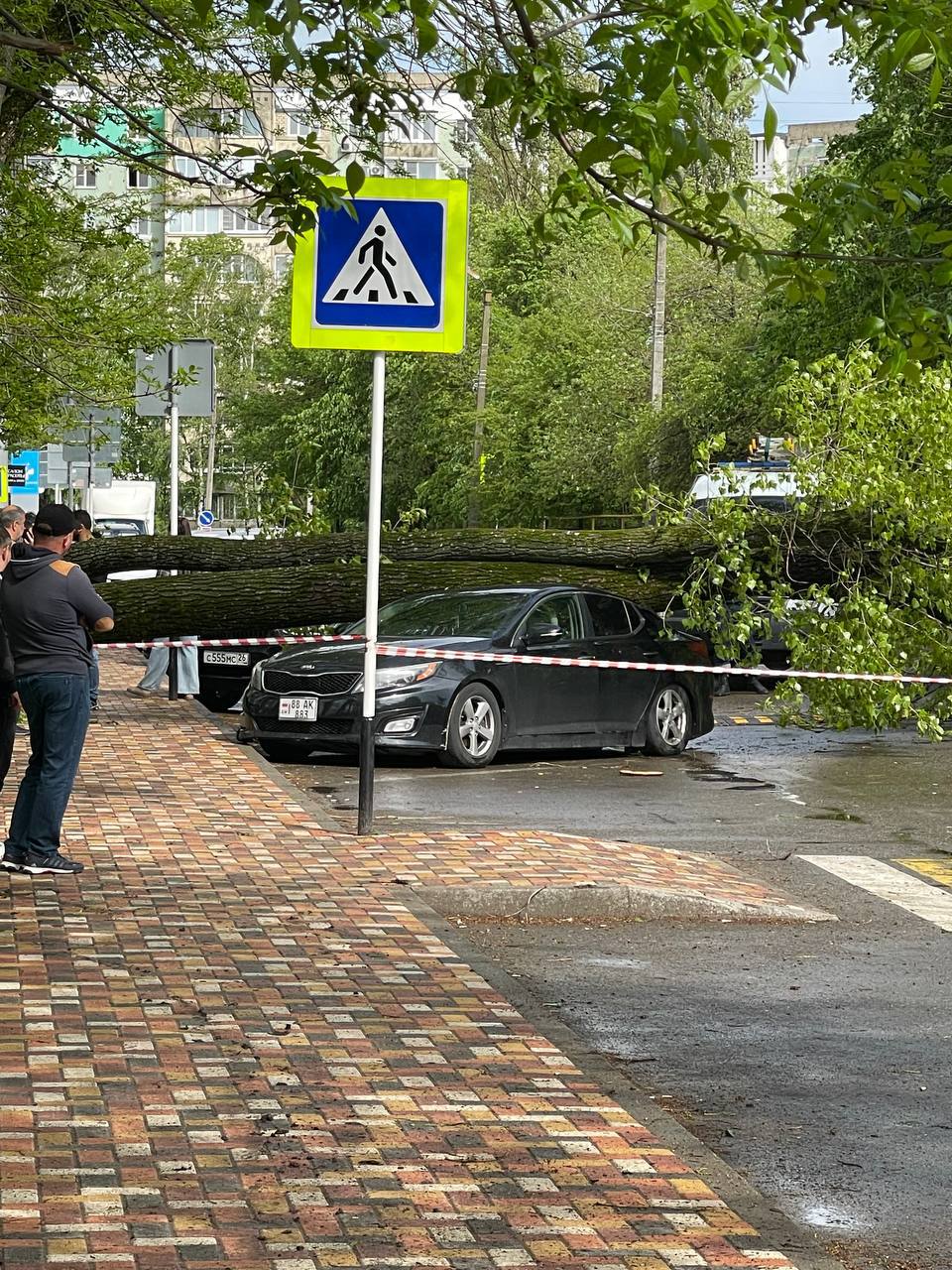 Огромное дерево рухнуло на припаркованную машину с людьми на Соборной. Очевидцы не сообщают о пострадавших. Подписаться прислать новость
