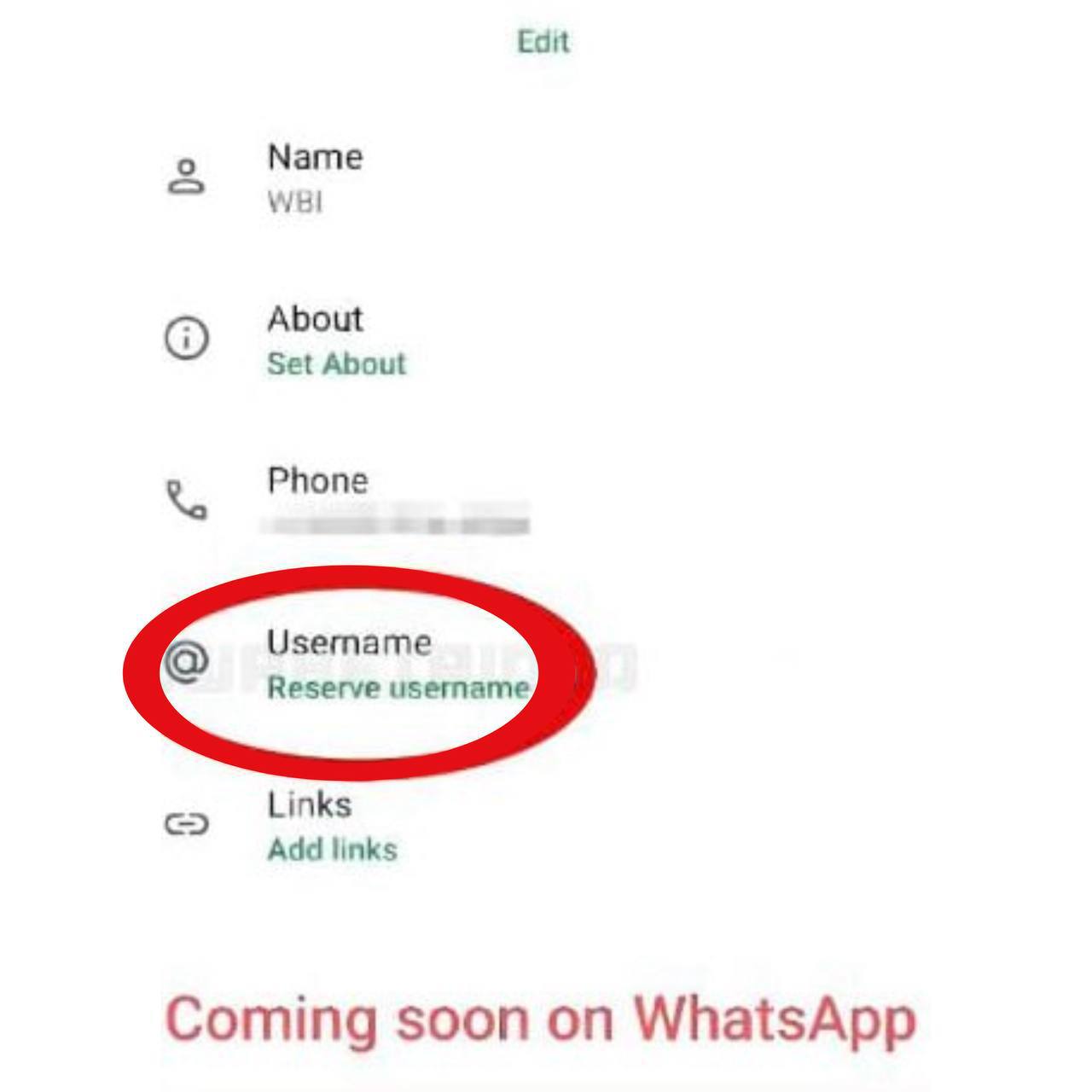 WhatsApp идет по стопам Telegram В бета версии WhatsApp нашли систему резервирования юзернеймов Осталось только подарки и звёзды по всей видимости добавить