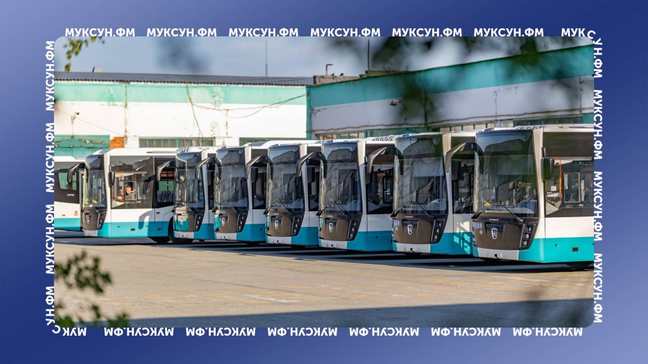 В Сургут приехали новые автобусы. Пока 8 зато уже брендированные и еще 10 – «в пути» и поступят на вооружение «СПОПАТа» в течение июля. Покупка, кстати, стала возможной благодаря субсидии со стороны окружного правительства. На транспортном предприятии заявили, что, скорее всего, новые машины будут рулить на 45 и 47 маршрутах. Таким образом вместе с прошлогодним обновлением парк «СПОПАТа» обновился на 50% и теперь автобусы, заявляют в мэрии города, выходят на линию вовремя. Больше никаких замерзающих на остановках? или покусанных, с поправкой на время года . Фото: Рамиль Нуриев Есть что рассказать или показать? Создавай картину дня – предложи свою новость! 8 8 8