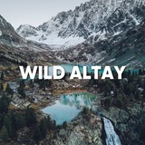 WILD ALTAY - ПУТЕШЕСТВИЯ ПО АЛТАЮ