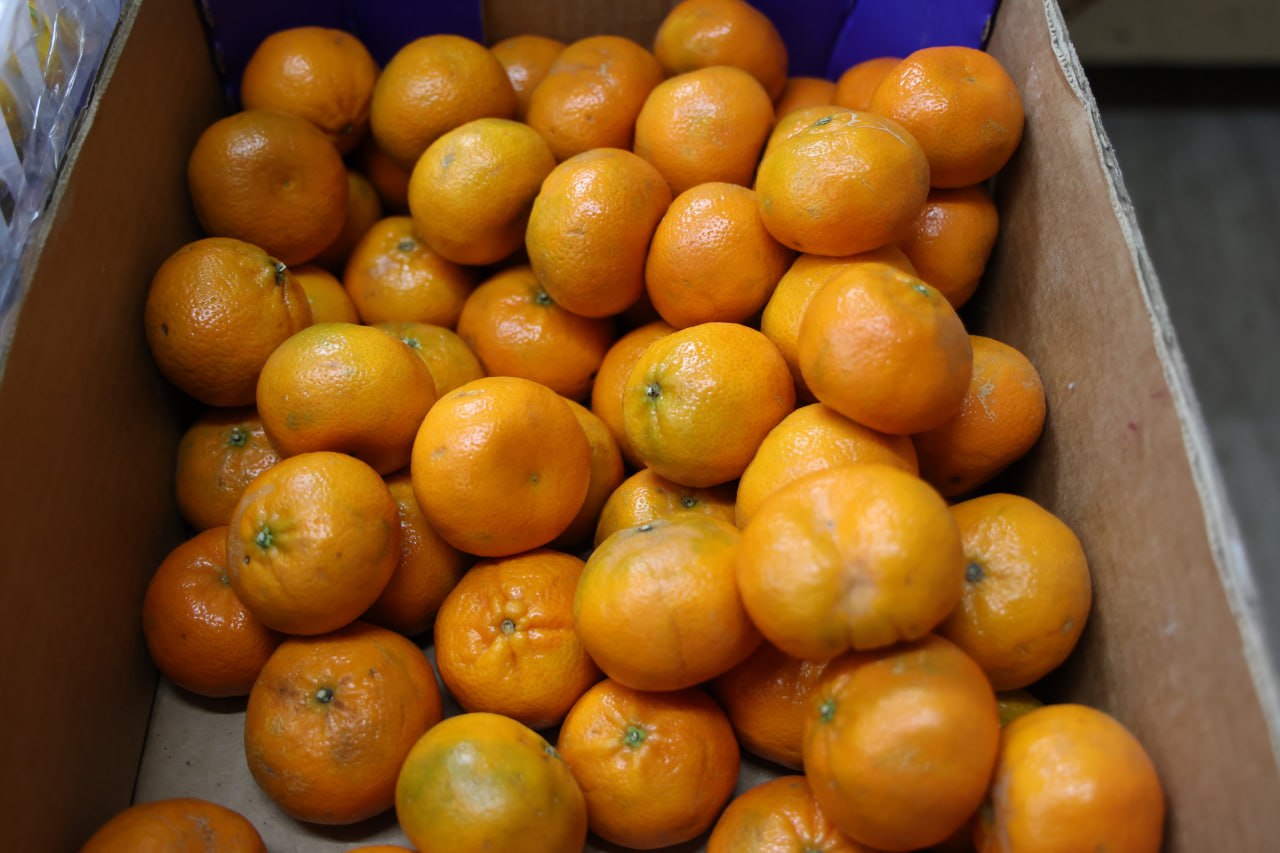 18 тонн импортных мандаринов не пропустили через Челябинскую область На границе Челябинской области развернули грузовик с 18 тоннами китайских мандаринов Фура с цитрусовыми следовала из Казахстана в Москву однако не прошла проверку в пункте пропуска у проверяющих возникли вопросы к документации Большегруз с крупной партией мандаринов остановили в пункте пропуска Бугристое сотрудники Россельхознадзора совместно с коллегами из погрануправления ФСБ Специалисты проверили документы осмотрели машину и перевозимую продукцию В результате оказалось что данные на этикетке с цитрусовыми не совпадают со сведениями в сопроводительных документах Соответственно фитосанитарный сертификат не может подтвердить фитосанитарное состояние продукции подчеркнули в надзорном ведомстве В результате продукцию запретили к ввозу в страну Перевозчика уроженца Беларуси привлекли к ответственности по статье 10 2 КоАП РФ