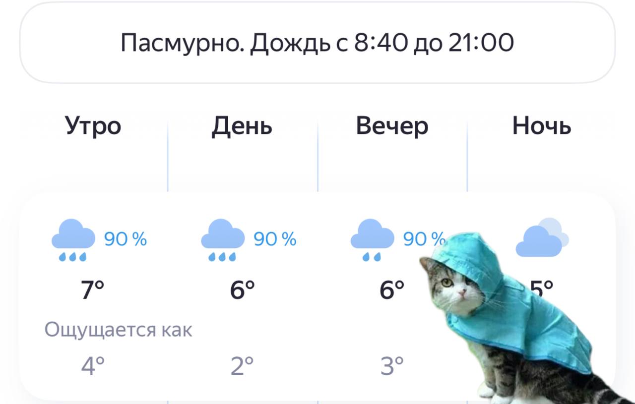 Ливень обрушится на Москву сегодня и будет идти весь день синоптики Влажность поднимется до 94 а порывы ветра добавят сырости и промозглости Подписаться Прислать новость