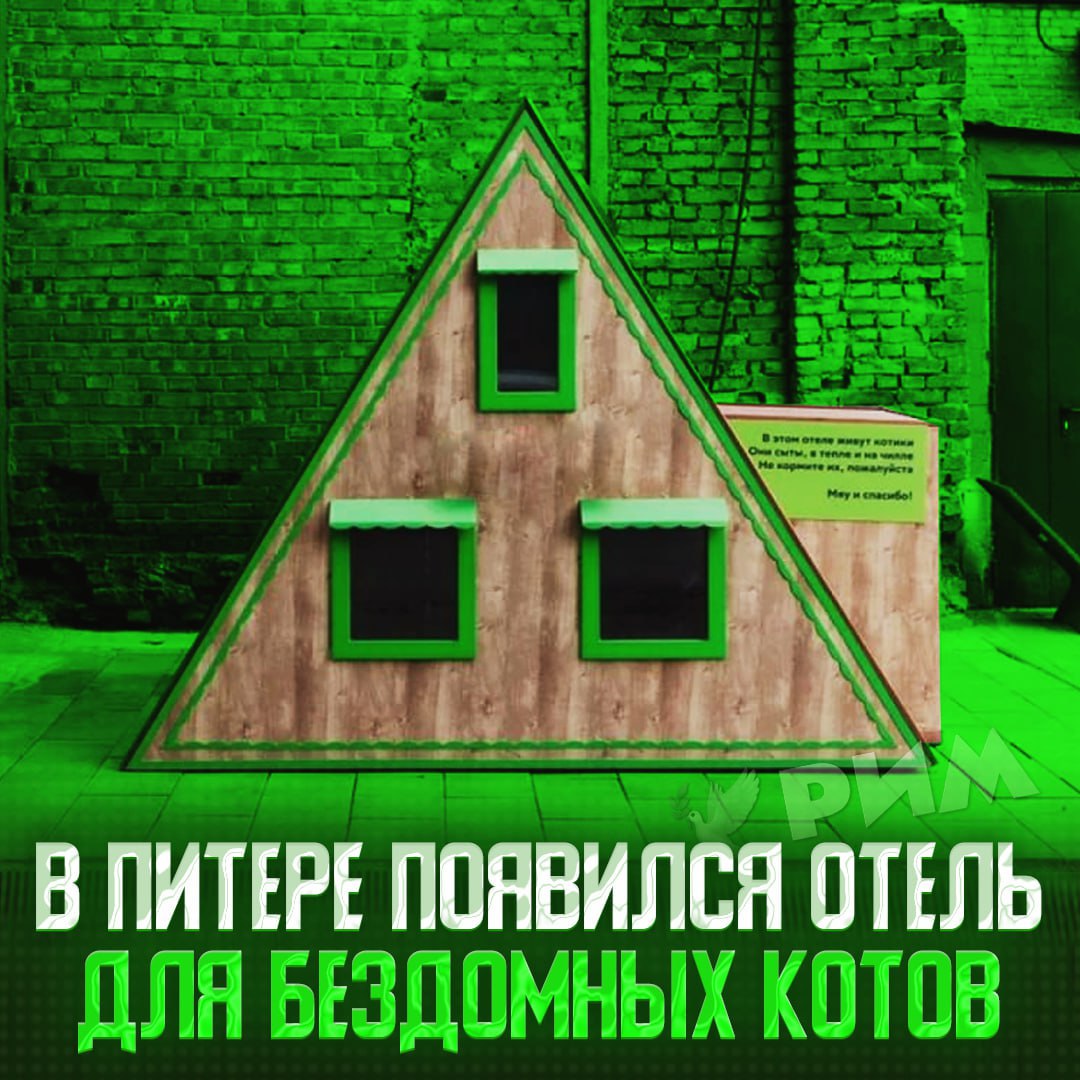 В Питере открыли отель для бездомных котов  Внутри — всё, что может понадобиться: удобные лежанки, когтеточки, еда и вода.    — респект, надеюсь, таких будет только больше    Рифмы и Морген