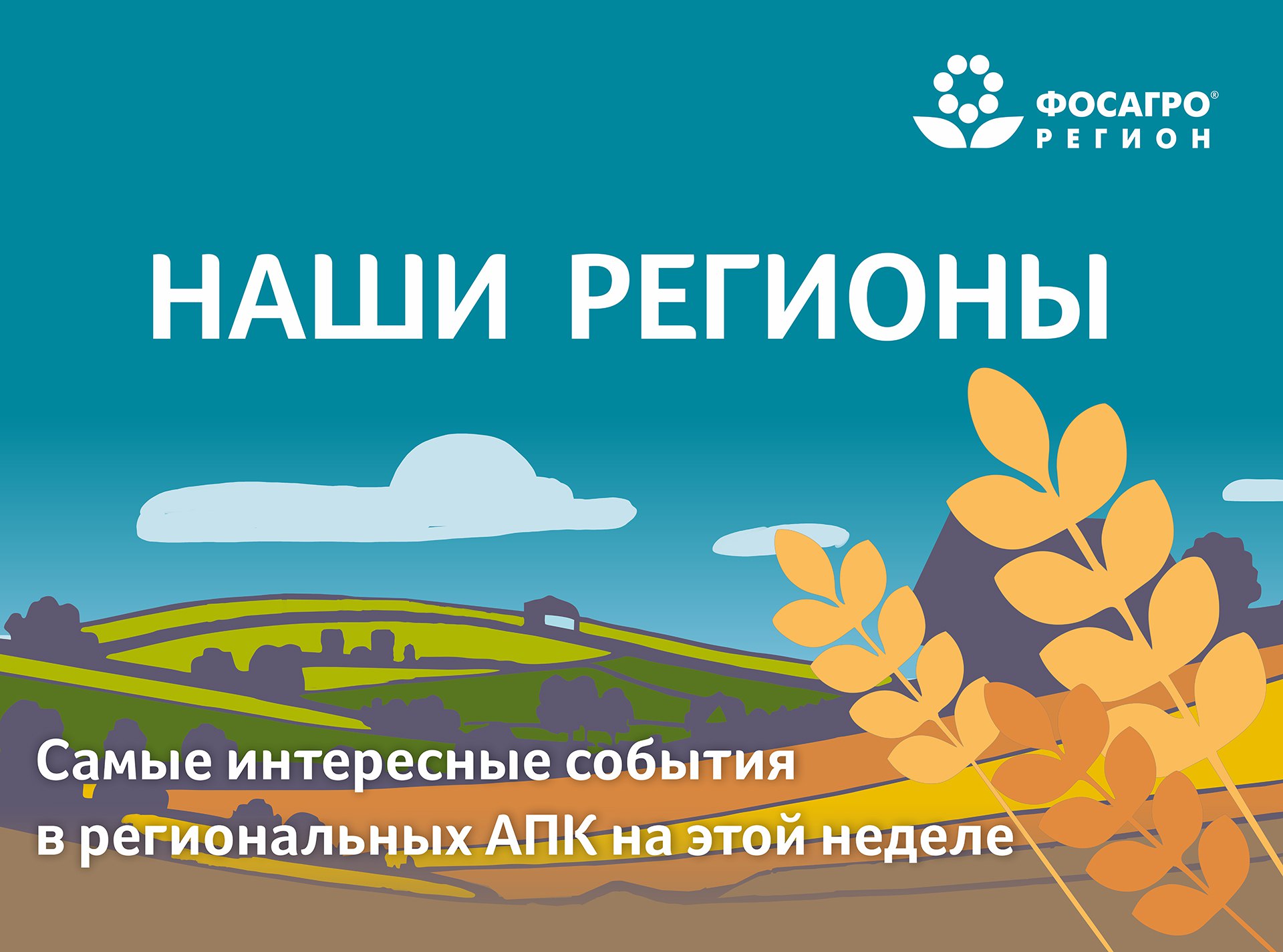 На этой неделе несколько регионов зафиксировали урожайные рекорды, в центре внимания остаются погода и способы увеличения полевой маржи. 185 ц/га – новый рекорд по урожайности озимой пшеницы, зафиксированный в Орловской области. Такой результат показал сорт Зюгановка, сообщает правительство региона. Предыдущий рекорд составлял 153 ц/га в 2023 году. Ставропольский край собрал самый большой за всю историю края урожай зерна: больше 10 миллионов тонн озимой пшеницы, ячменя, гороха, рапса и других культур. Это без учета кукурузы, которую еще только предстоит убрать. Ближайший по величине показатель составлял 9,3 млн т в 2017 году. Средняя урожайность в этом году - 44,2 ц/га, на 10 ц больше, чем в прошлом году. На рекорд по масличным рассчитывает Ивановская область - валовый сбор здесь ожидается в полтора раза больше, чем в прошлом году. Аграрии Омской области также прогнозируют достойный урожай подсолнечника, кукурузы и пшеницы. Проблем с влагой в регионе не было, температурный режим в норме. Алтайский край ищет новые подходы в минеральном питании, и мы наращиваем поставки удобрений, расширяем спектр услуг и ассортимент. Сервис агрохимобследования - один из востребованных инструментов. Представили на агрополигоне выставки системы питания на сое, подсолнечнике и горохе. Рентабельность рисоводства на Кубани выросла почти в три раза за семь лет. Новые сорта показывают урожайность от 100 ц/га. Регион продолжает увеличивать производство. Влияние погоды на маржу сельхозпредприятий усилилось, поэтому хозяйства ищут новые способы управления агроценозами. Директор Ростовского филиала «РосАгрохимСлужбы» Ольга Назаренко рекомендует в этом году правильно провести предпосевную обработку почвы, не сеять глубже 3-4 см, соблюсти оптимальную норму высева, в том числе не загущать посевы. Актуально вернуть в структуру севооборота в наиболее пострадавших от засухи зонах паровые поля. ФосАгро-Регион