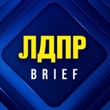 ЛДПР Brief