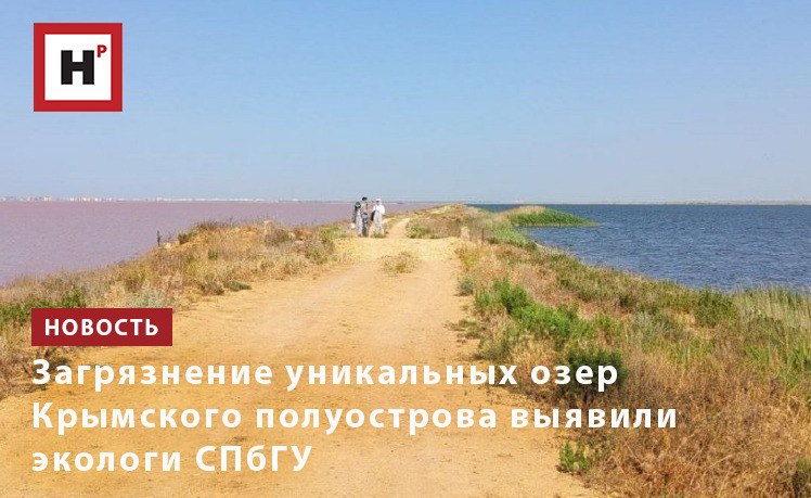 В сотрудничестве с представителями Крымской ГГРЭС мы отобрали пробы трех групп озер на западе Крыма Евпаторийской Тарханкутской и Перекопской и получили образцы озерных вод и грязей По результатам исследования можно уверенно сказать что влияние деятельности человека оказало гораздо большее воздействие на экосистемы соляных озер Крыма чем климатические изменения отметила доцент СПбГУ Елена Каюкова По словам ученой за последние сто лет рассолы Перекопской группы полностью изменили свой состав из за интенсивной антропогенной нагрузки возникшей с 1930 х годов Определенное влияние на гидрохимический режим этих акваторий также оказывало поступление пресной воды из Северо Крымского канала во время его эксплуатации Некоторые водоемы Евпаторийской группы такие как Богайлы и Кызыл Яр подверглись сильному распреснению из за деятельности человека Фото Ольга Решетникова Подробнее на портале Научная Россия загрязнение озер крымский полуостров